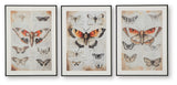 Jossletts Wall Art (Set of 3) - A8000490