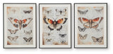 Jossletts Wall Art (Set of 3) - A8000490
