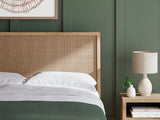 Cielden Queen Panel Bed - B1199B3