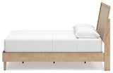 Cielden Queen Panel Bed, Dresser and Mirror - B1199B4