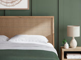 Cielden King Panel Bed, Dresser, Mirror and Nightstand - B1199B17