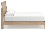 Cielden King Panel Bed - B1199B5