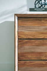 Dressonni Dresser and Mirror - B790B1