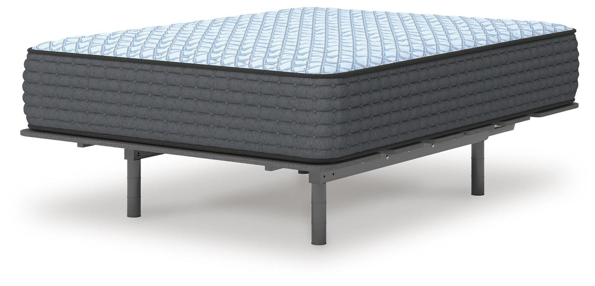 Destin Cove Firm California King Mattress - M33051