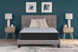 Elite Springs Firm Twin Mattress - M40511