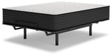 ZBENCH   M41021   4/6   LIMITED   EDITION   F - M41021