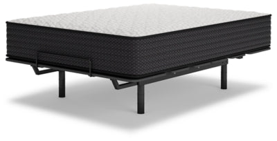ZBENCH   M41031   5/0   LIMITED   EDITION   F - M41031