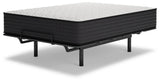 ZBENCH   M41031   5/0   LIMITED   EDITION   F - M41031