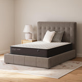 Limited Edition Firm Twin XL Mattress - M41071