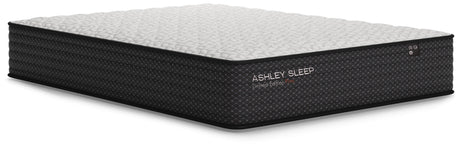 Limited Edition Firm Twin Mattress - M41011