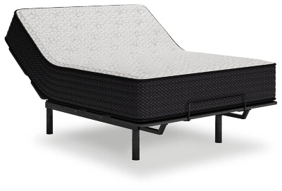ZBENCH   M411113/3   LIMITED   EDITION   PL - M41111