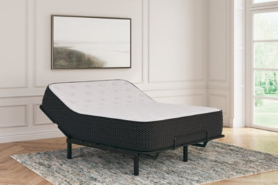 ZBENCH   M411113/3   LIMITED   EDITION   PL - M41111