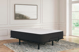 ZBENCH   M41141   6/6   LIMITED   EDITION   P - M41141