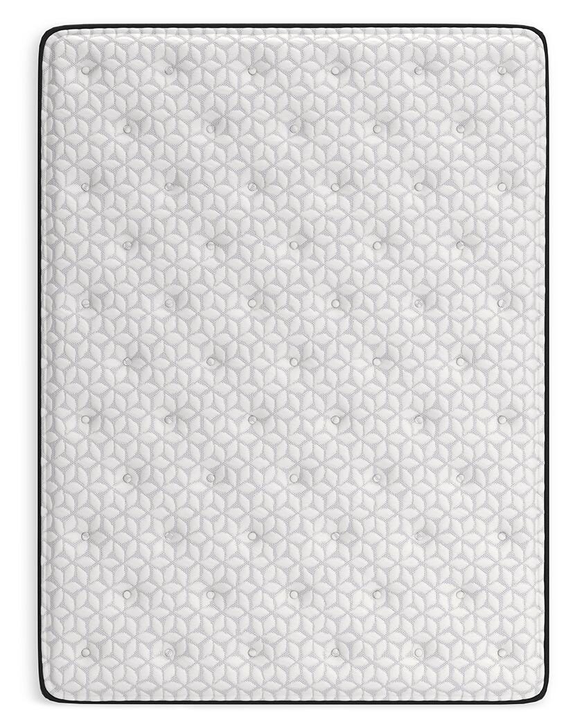 Limited Edition Plush Queen Mattress - M41131