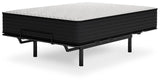 ZBENCH   M41141   6/6   LIMITED   EDITION   P - M41141