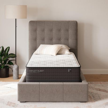 Limited Edition Plush Twin XL Mattress - M41171