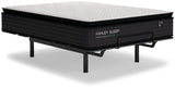 Limited Edition PT California King Mattress - M41251