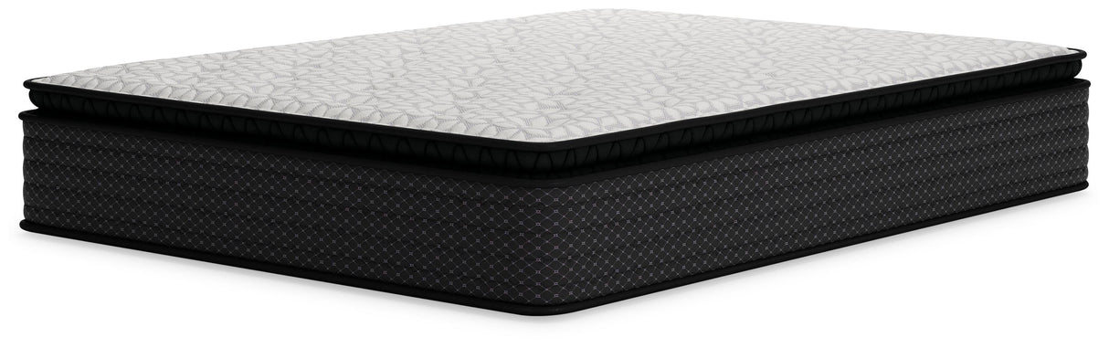 ZBENCH   M41231   5/0   LIMITED   EDITION   P - M41231