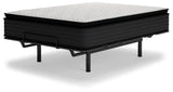 ZBENCH   M41231   5/0   LIMITED   EDITION   P - M41231