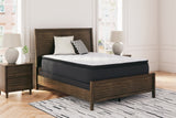 ZBENCH   M41241   6/6   LIMITED   EDITION   P - M41241