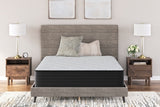 Palisades Plush King Mattress - M41641