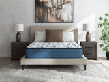 Limited Edition Firm 3.0 Queen Mattress - M45031