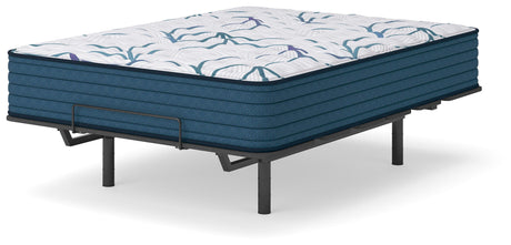Limited Edition Firm 3.0 Queen Mattress - M45031