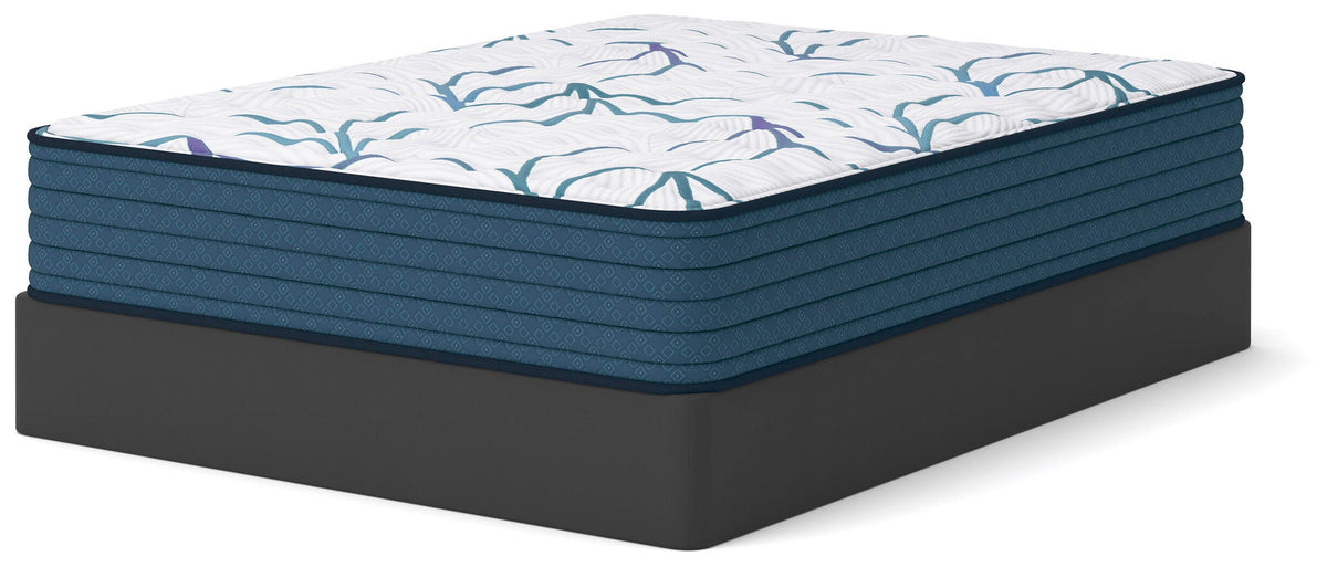 Limited Edition Firm 3.0 Queen Mattress - M45031