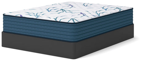 Limited Edition Firm 3.0 Queen Mattress - M45031