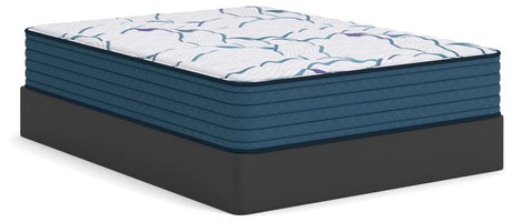 Limited Edition Firm 3.0 Queen Mattress - M45031