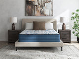 Limited Edition Plush 3.0 Queen Mattress - M45131
