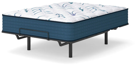 Limited Edition Plush 3.0 Queen Mattress - M45131