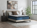 Limited Edition Plush PT 3.0 Twin XL Mattress - M45271