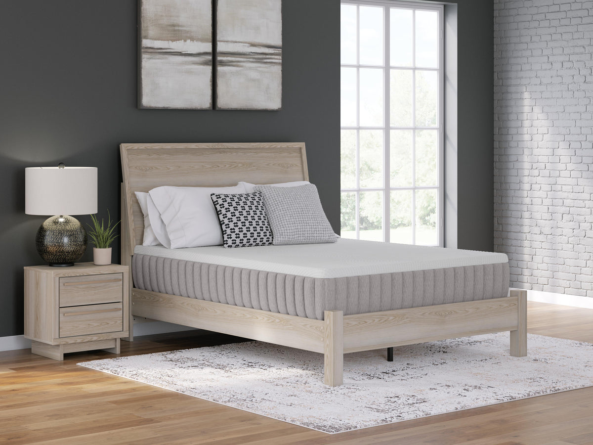Terra Sleep Medium King Mattress - M52341
