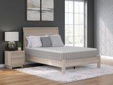 Terra Sleep Medium King Mattress - M52341