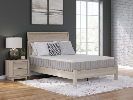 Terra Sleep Medium King Mattress - M52341