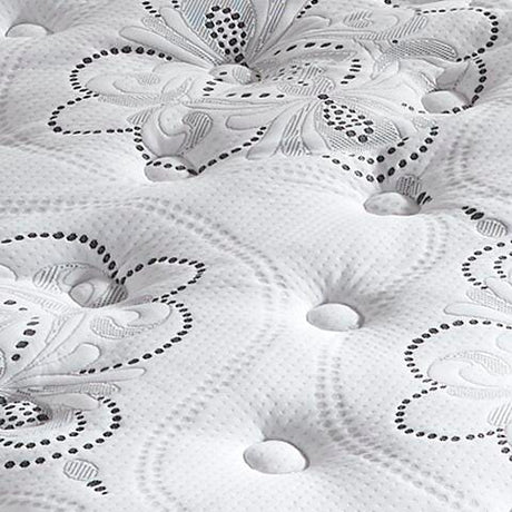 Chime 12 Inch Hybrid Queen Mattress in a Box - M69731