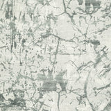 Tobinbury Washable 5' x 7' Area Rug - R407422