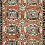 Qaabiz 5' x 7' Area Rug - R407522