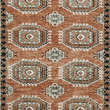 Qaabiz 5' x 7' Area Rug - R407522