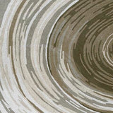 Rizwana 7'6" x 10' Area Rug - R407761