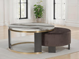 Jazmore Nesting Coffee Table (Set of 2) - T671-22