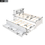 Platform Bed With Storage Headboard, USB, Trundle And 3 Drawers