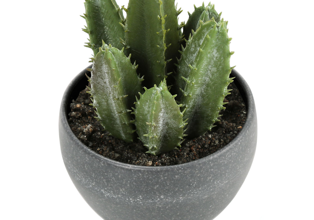 Artificial Succulent Plants (Set of 3)