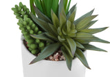 Artificial Succulent Plants (Set of 2)