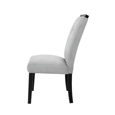 Ariya - Dining Chair (Set of 2) - Black / Gray