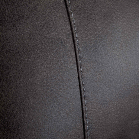 FRANK Aspen Recliner - 4731M