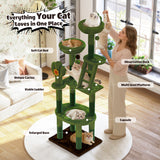 Cactus Cat Tree With Transparent Capsule