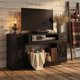 TV Stand With Adjustable Shelves & Double Doors