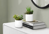 Artificial Succulent Plants (Set of 2)